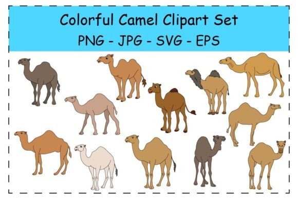 Colorful Camel Clipart Collection for Craft and Graphic Assets