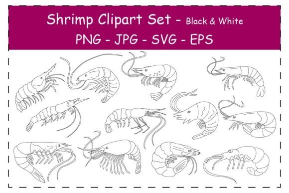 Shrimp Clipart Graphics for Crafters & Digital Product Creators