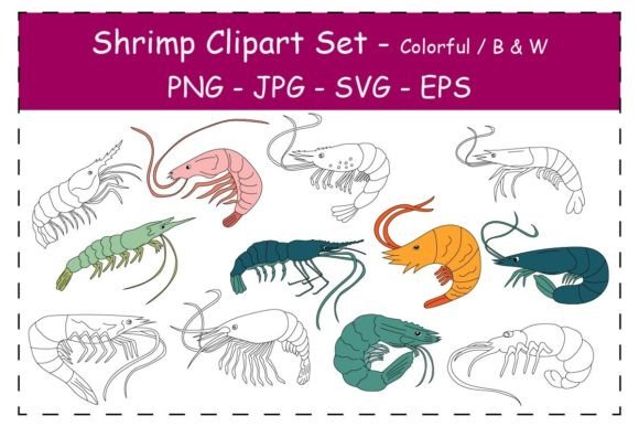 Shrimp Clipart Set: A Designer's Practical Review